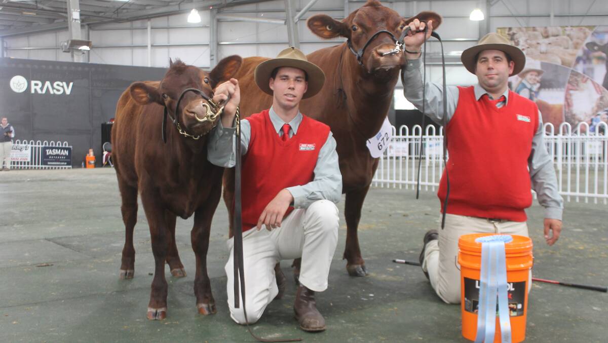 Brothers Cody and Trent Storm, Stormley Red Polls, Barham, NSW, with their supreme exhibit winning cow.