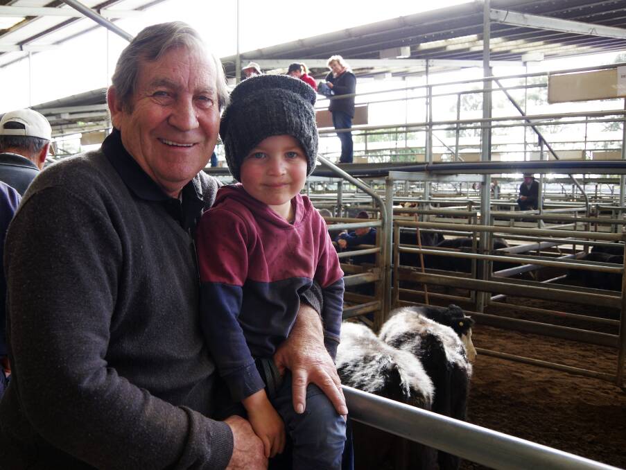 John Brady, Glengarry, and his grandson, Jack (4), bought these yearling black baldy steers, paying $1160. The vendor was DE Prendergast, Benambra.