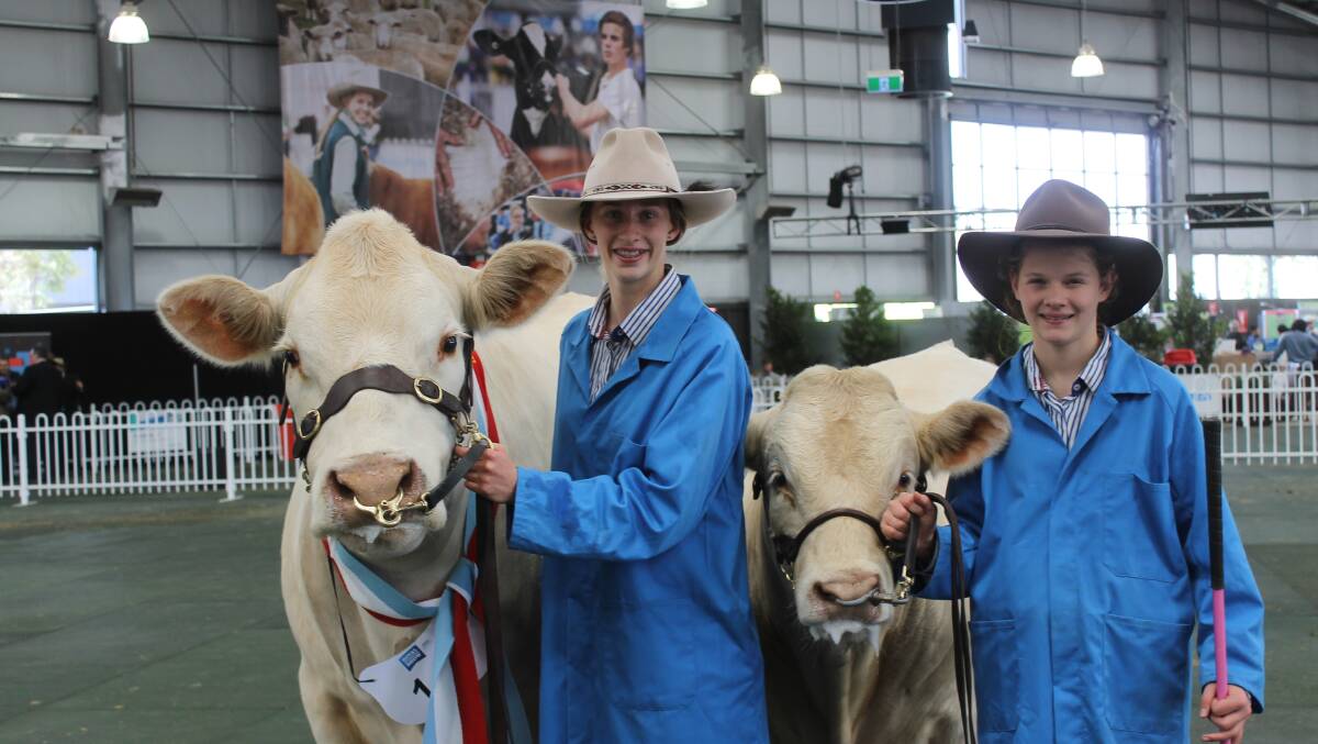 Sisters: Jessica Cook, 15, and sister Laura, 13, with the grand champion Charolais female and her calf at-foot.