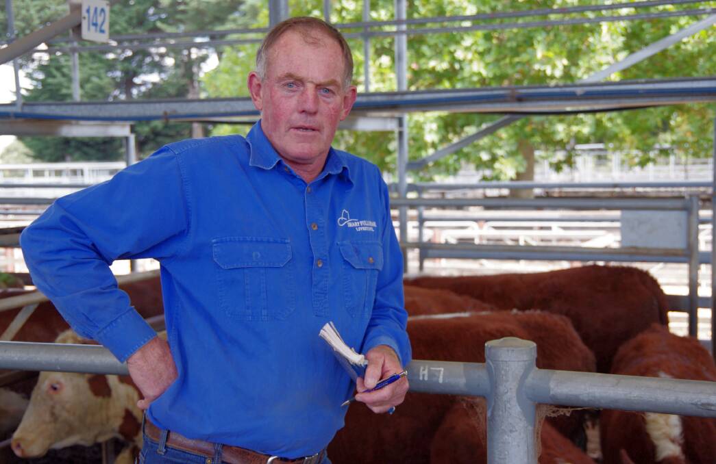 Kevin Carrolan, Sharp Fullgrabe, bought Hereford cows and calves on behalf of Terry Robbins, Stratford, at Bairnsdale's store cattle sale on Friday; paying $1820 each pair.
