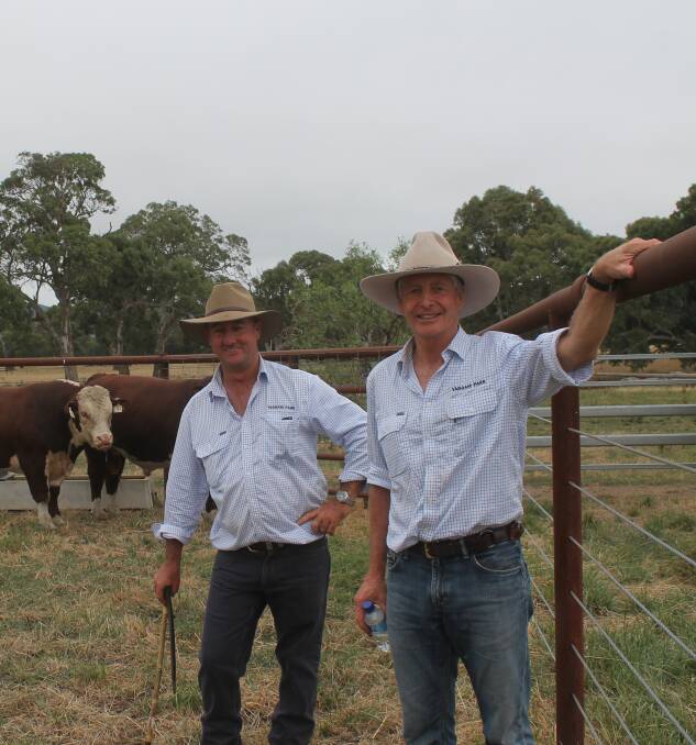 Yarram Park's cattle manager Mick Petersen and general manager Jeremy Upton are excited to be hosting the stud's first on-property sale next week.