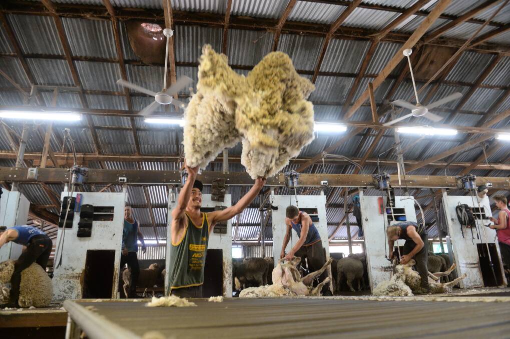 Roberts Ltd will next week present more than 5000 bales of premium wool to the Melbourne market.