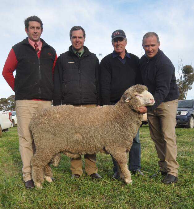 SUPERIOR BUY: Richard Harkness, Superior Wool Merinos, Tintinara (second from right) outlaid the $7200 equal second top price for this ram being held by stud principal Peter Wallis. Also pictured is Elders Tintinara's Huw Thomas and Landmark stud stock auctioneer Richard Miller.