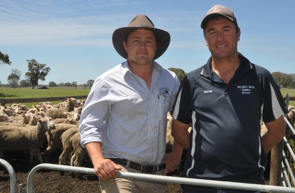 Spence Dix & Co's Daniel Griffiths, Mallala and Shayne Willmott, Dunira Prime Lamb, Manoora bought 1115 wether lambs including the 252 top prices for $114.