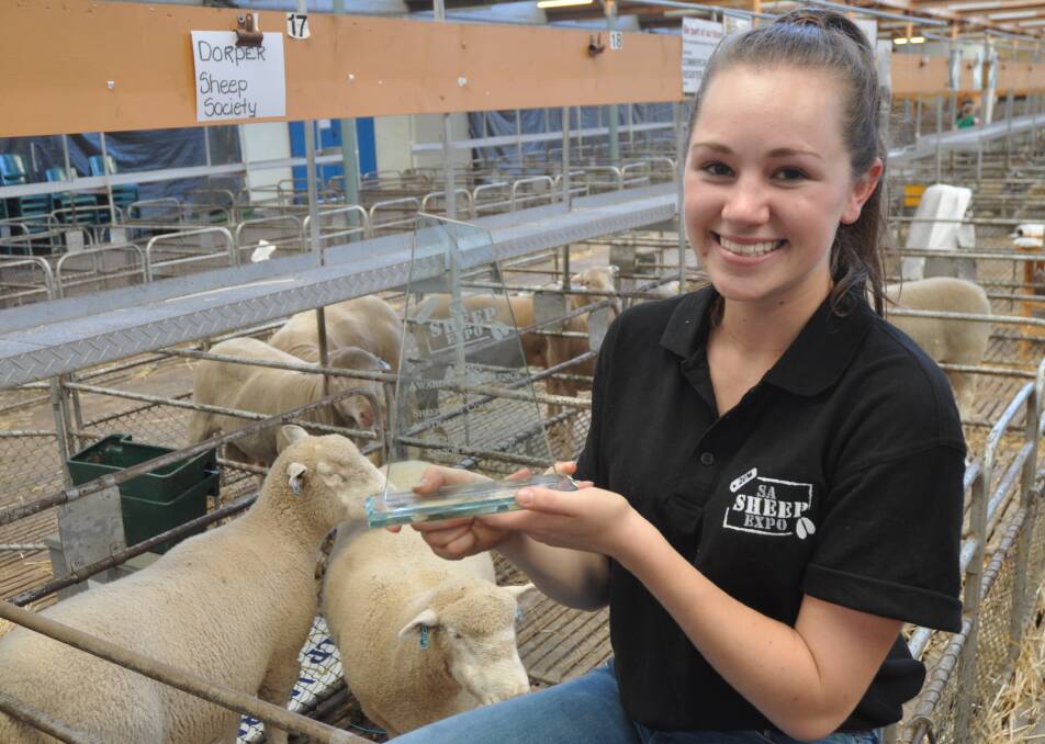 TOP EXPERIENCE: SA Sheep Expo 2016 bursary winner Emily Attard, Tyabb, Vic, spent a week in the Canterbury region of New Zealand's South Island last month visiting sheep, dairy and deer farms. She was impressed by sheep producers' efforts to maximise the number of lambs weaned.