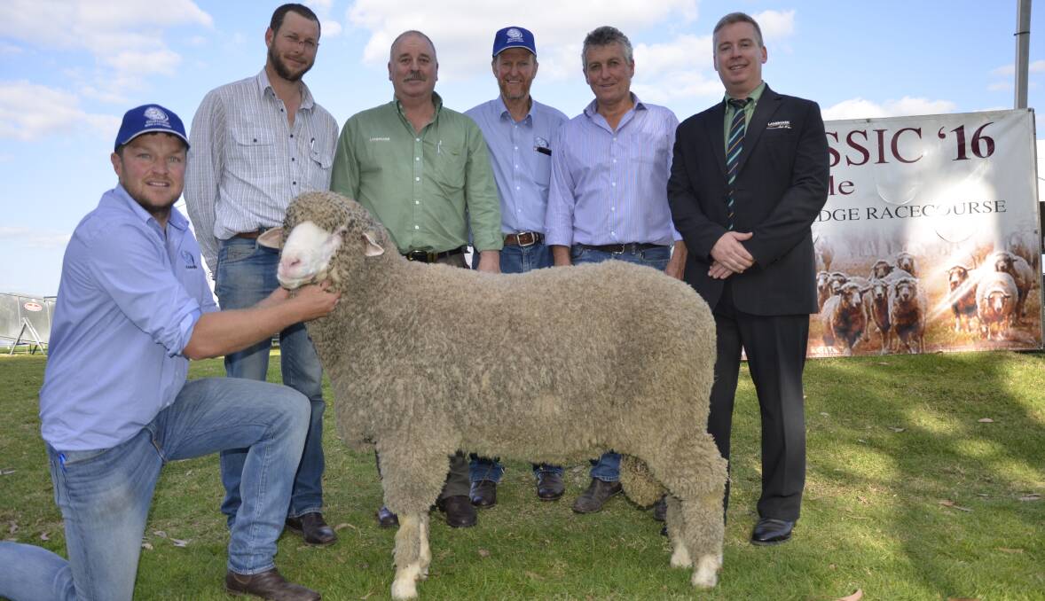 MALLEE MARVEL: Gunallo's Brad Schroeder holds the $16,000 top price ram with Vic buyer Stuart Croft and his agent Kevin Beaton, Hamilton, Gunallo's Ray Schroeder, Classings Ltd's Bill Walker and Landmark auctioneer Gordon Wood.
