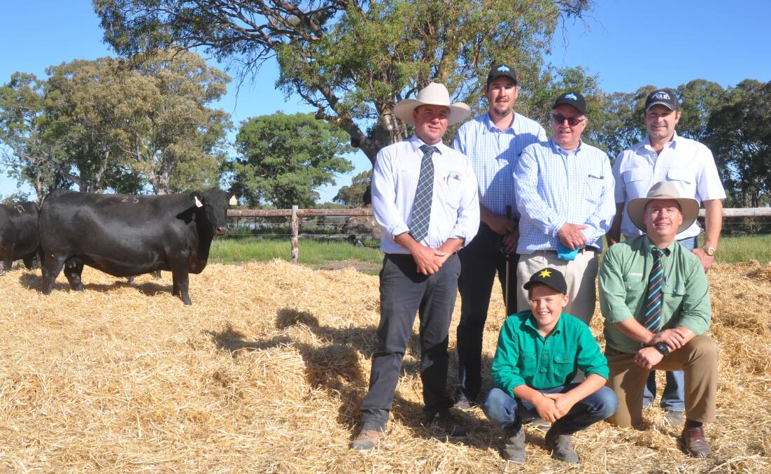 ROYAL PEDIGREE: Spence Dix &Co auctioneer Jono Spence, Stoney Point Performance Angus stud manager Peter Colliver, and director Perry Gunner and kneeling Thomas Spence and Landmark's Gordon Wood, with the $14,500 top priced female, Stoney Point Yankee Queen G257 and buyer Glenn Bowman, Rosedale, Vic (top right).