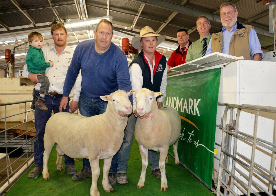 WHITE WINNERS: Woolumbool stud's Aaron Clothier and son John, Scott McIntyre, Dunkeld, Vic, who bought the $3100 top price White Suffolk ram, Jason Clothier holding the $2600 top price Poll Dorset ram, Elders auctioneer Tony Wetherall, Landmark auctioneer Gordon Wood and Phil Clothier.