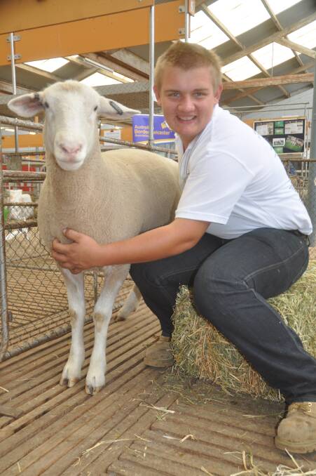 BRIGHT FUTURE: Expo entrant Stefan Grossman, Koonawarra White Suffolk stud, Angaston, is keen to pursue a career in the sheep industry.