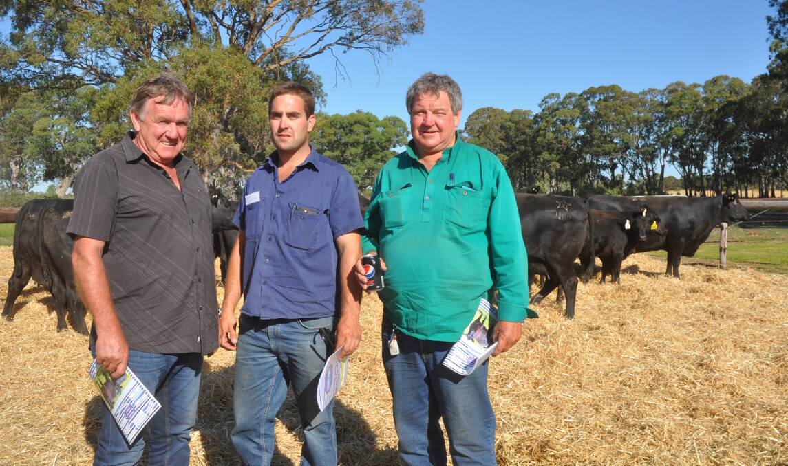 COMMERCIAL SUPPORT: Dean Tanner, Noel Vorwerk and John Meek, Rising Sun Pastoral Company, Western Flat were volume buyers with 26 lots. They took the opportunity to upgrade their female herd.