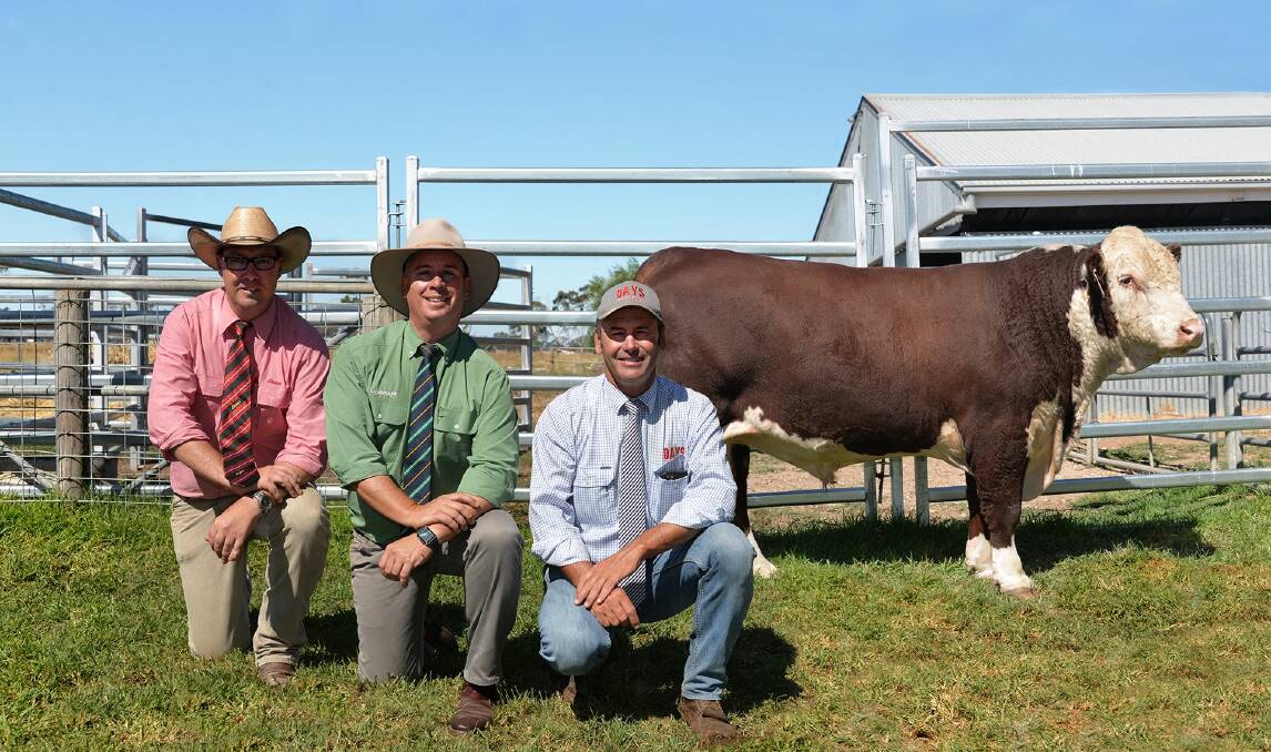 RECORD BREAKER: Elders auctioneer Ross Milne, Landmark auctioneer Gordon Wood and Days Whiteface stud principal Lachy Day with the $26,000 sale topper