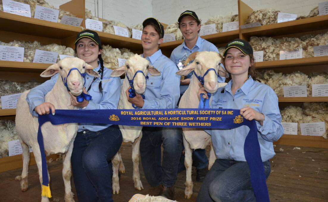 WINNING TRIO: Cleve Area School students Samantha Green, Billy Flavell, Caleb Evans and Karma Resmini with their overall meat and fleece winners, which were valued at $554.55. They were also the best pen of three wethers. Two of the three animals were from the school's Sims Farm, with the other from a local breeder.