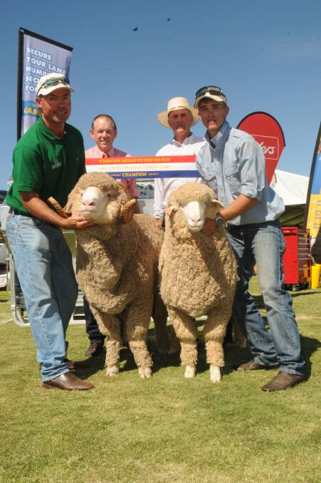 Merino breeders from WA to Vic and northern NSW and all areas of SA were at the Burra Oval for the second day of the Elders SA Stud Merino Expo .  Enthusiasm was high from the visitors from WA to northern NSW. Twenty seven studs from across SA had displays.