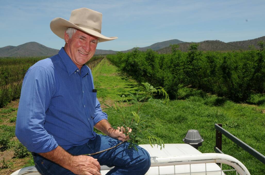 Don Heatley, former MLA chairman, previous CCA director and a past Queensland Country Life Red Meat Achiever of the Year, shares his opinion on current industry politics.