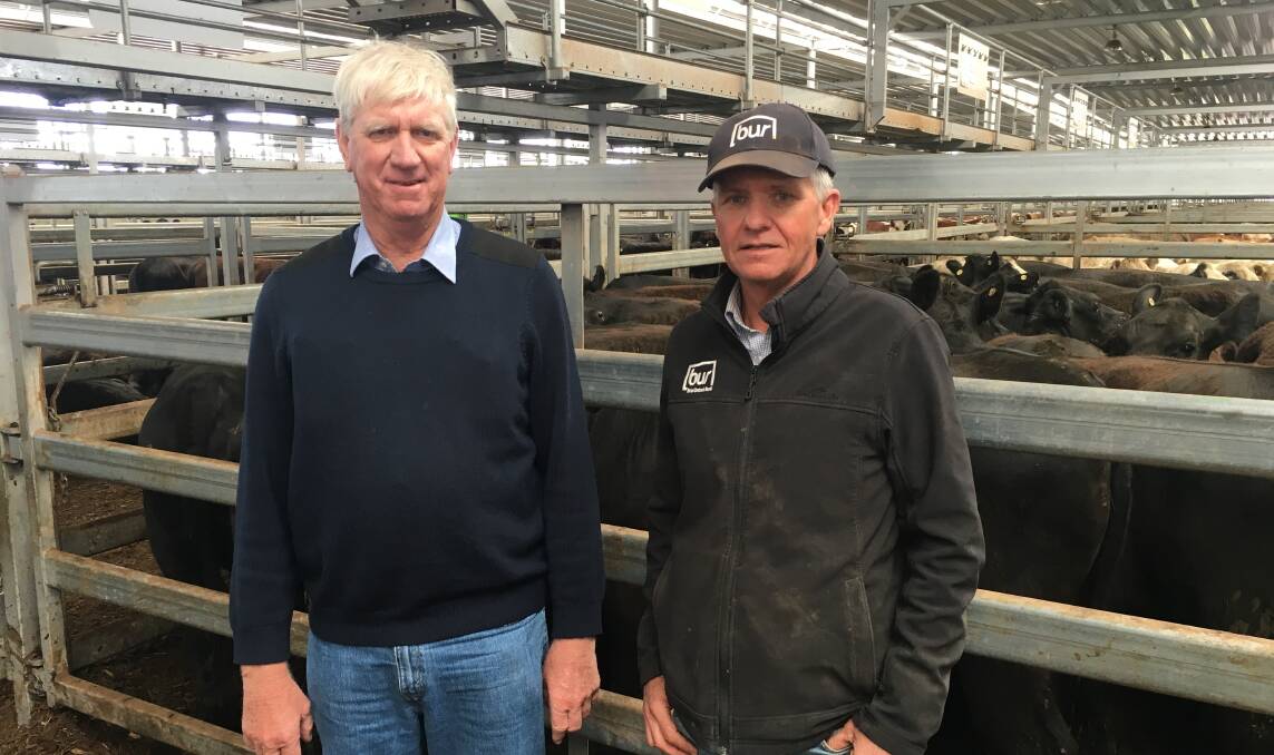 Agent Michael Unthank and vendor Ian Seidel at the Northern Victorian Livestock Exchange yesterday.

