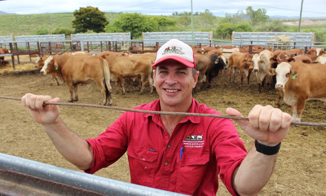 North Australian Cattle Company's managing director Patrick Underwood with northern cattle shipped to China this month.