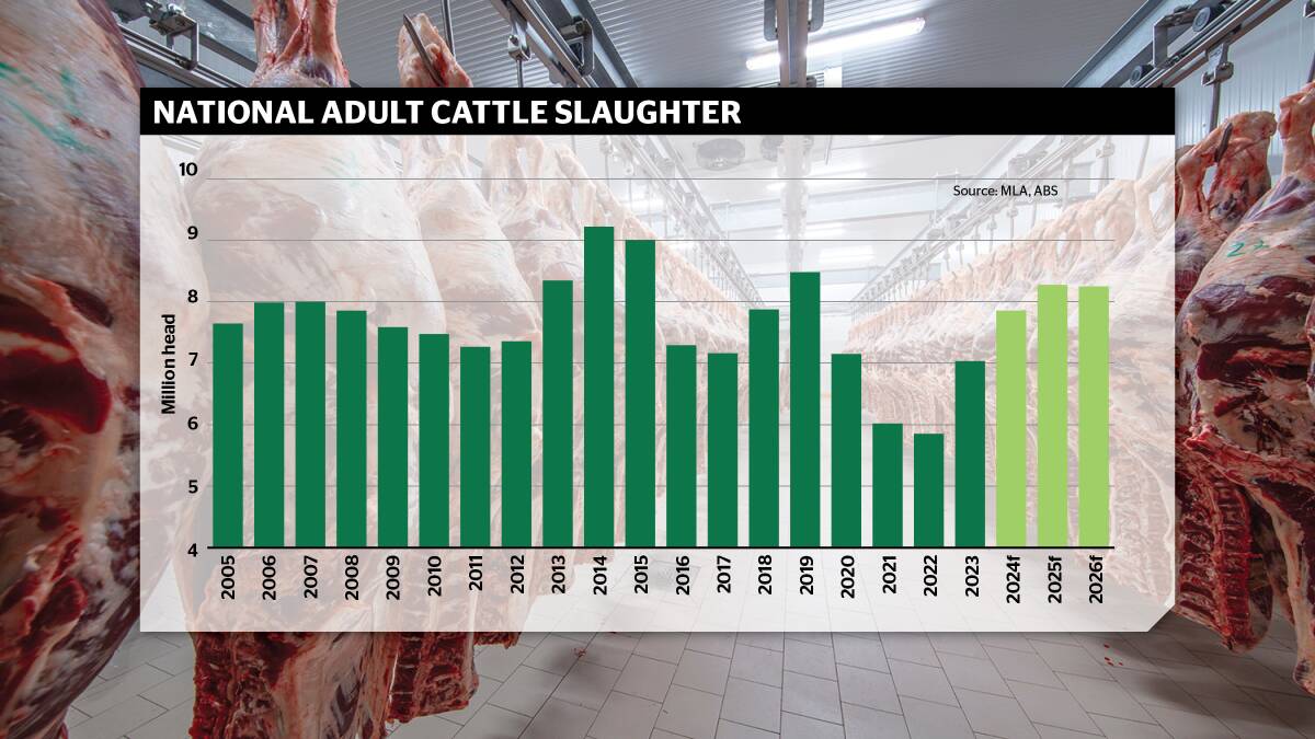 Cattle slaughter volumes are on the rise and will be above the ten-year average next year, MLA is forecasting. 