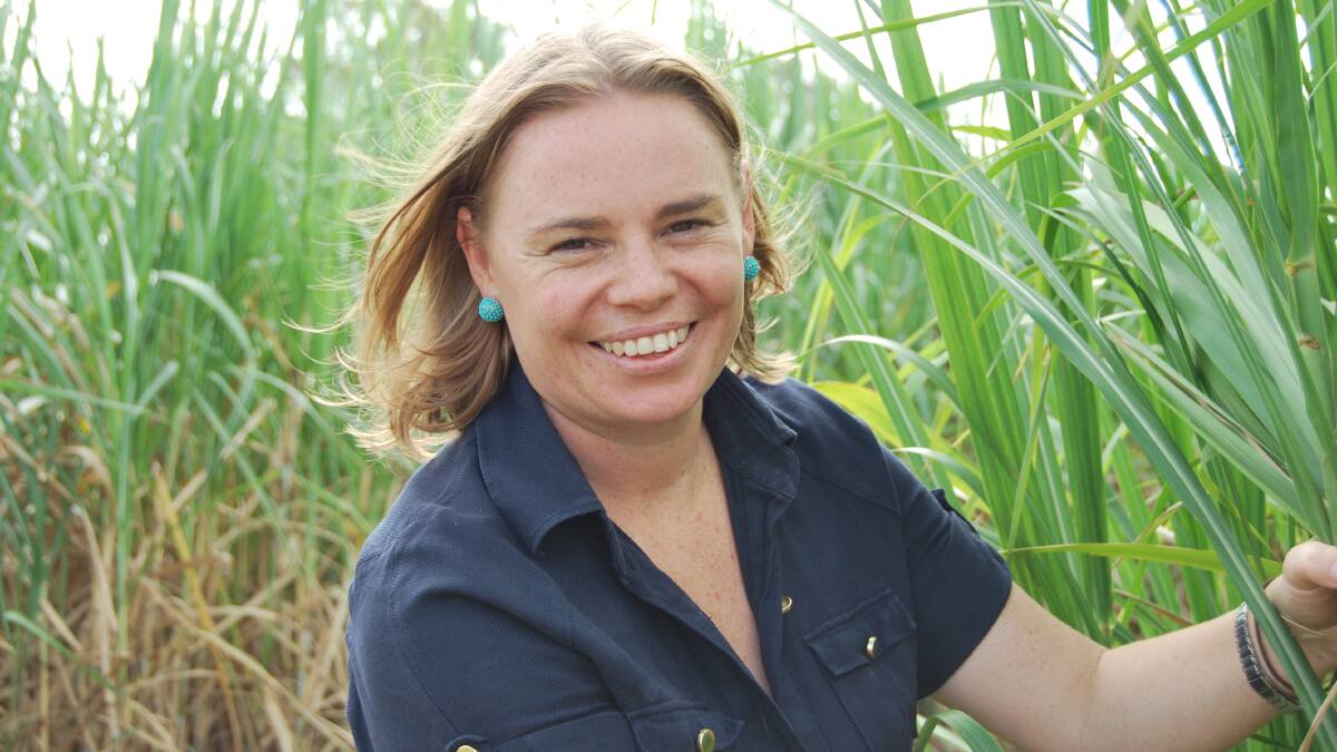 The 2017/18 global sugar surplus is projected to reach 4.5 million tonnes, and this figure has gained weight over recent months, says Rabobank commodity analyst Georgia Twomey (above). 