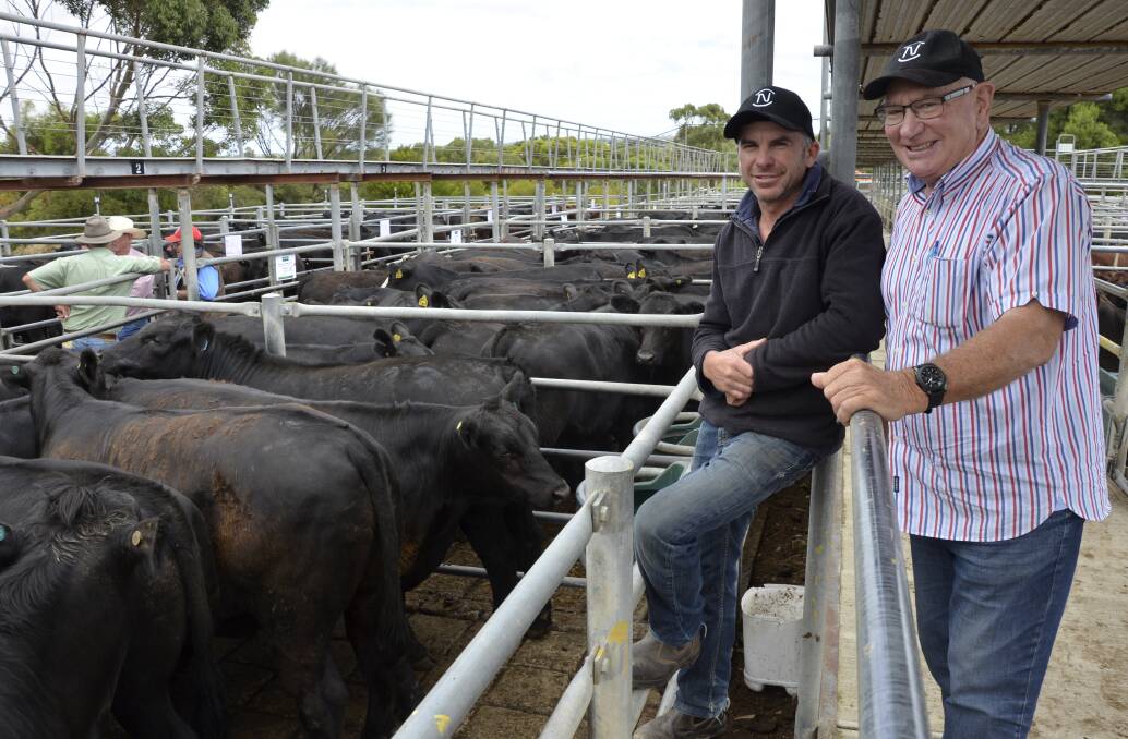 FIRST PEN: Newlyn Park stud owner Gavin Newman with client Allan Manning, Woodside, who sold 10 April 2016-drop Newlyn Park-blood Angus steers, 408kg, at $1380 or $3.38/kg to Thomas Foods International.