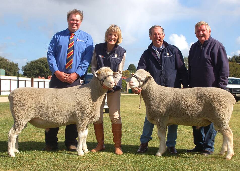 BOLD RAMS: Alan and Lyn Schinckel hold the two top priced rams at their 2014 ram sale at Naracoorte Showgrounds. With them are their local SAL agent Matt McDonald, and stud adviser Leigh Allan.