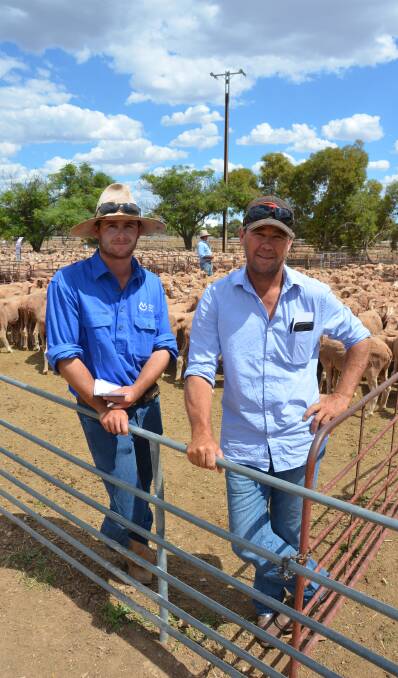 MUTOOROO CREW: Outalpa Station's Eddie Morgan with Lilydale Station manager Todd Noakes and their 874 SIL 2010-drop Mutooroo-bld ewes that made $110 a head.