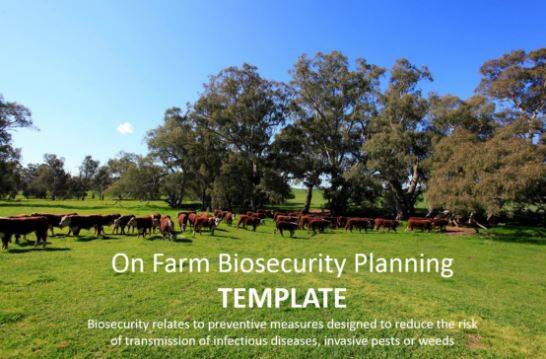 New biosecurity planning workshops will be rolled out in the coming months. 