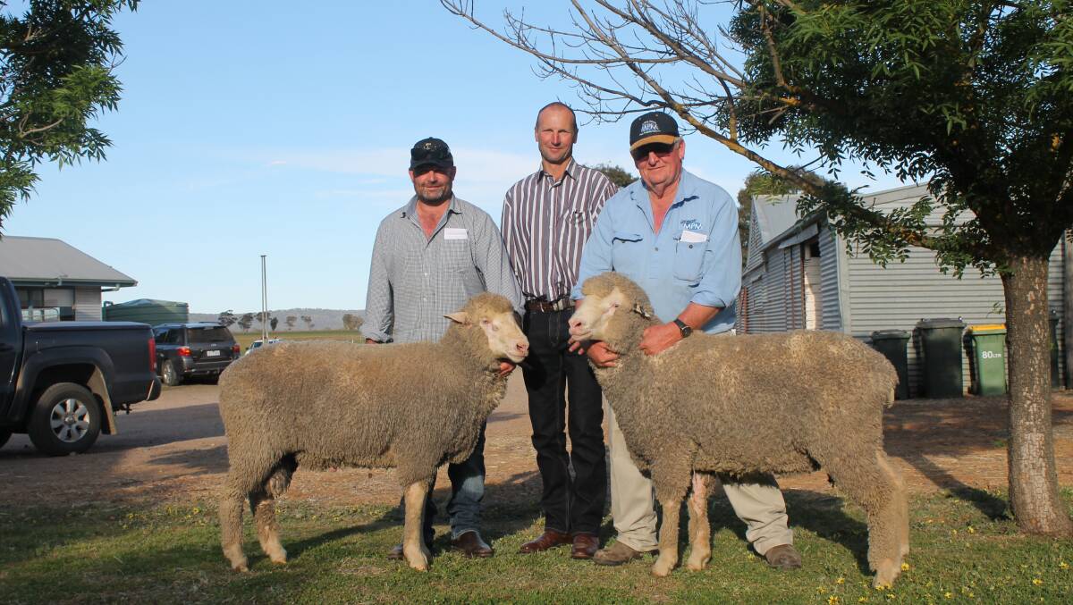 Dean Trotter, Perillup Estate, WA (middle) with his second top priced ram (left) held by Ben Duxson, Glendemar and top priced ram (right) held by Ken Duxson. 