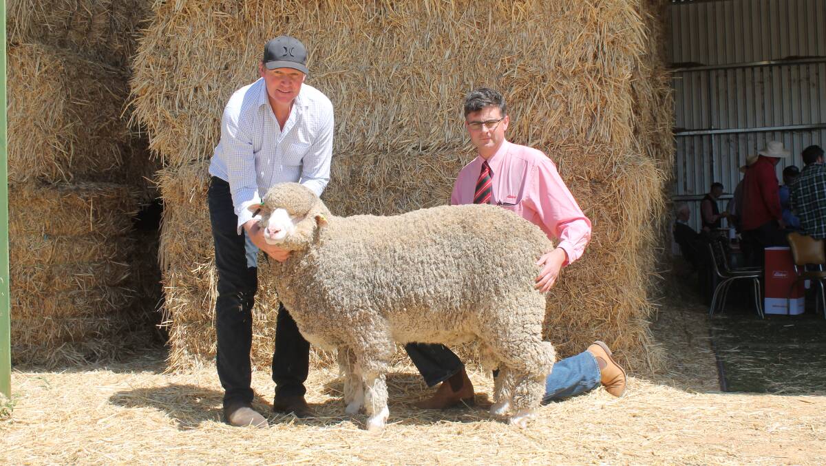 Paul Hendy, Belbourie holds the top priced rams with Roly Coutts, Elders Horsham who purchased the ram on behalf of his clients.