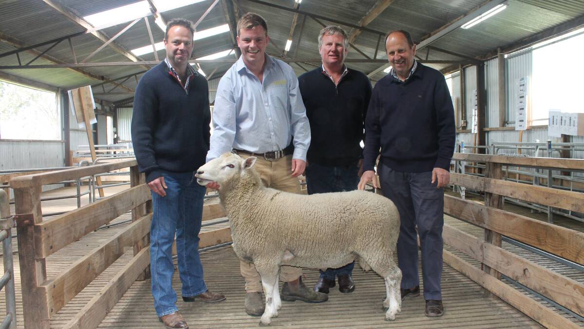 Dylan Praolini, Southern Grampians Livestock holds the top price ram with Waradgery's Tim Johnston and buyers Mark (left) and Howard Templeton. 