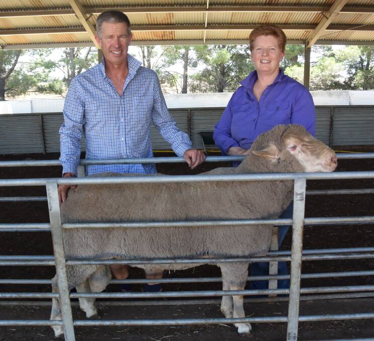 Darren and Fiona Cameron, Koonik Dohne Stud, say Dohne sheep are increasing in popularity due to their versatility.
