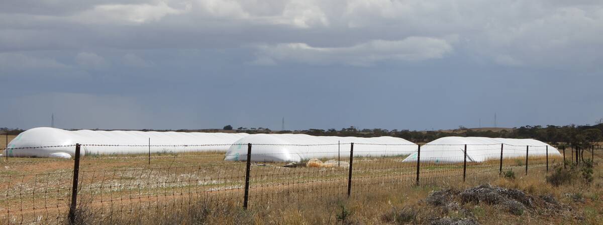 Grain bags used for short term on farm storage are slowly being emptied across the country, but dairy demand is waning. 