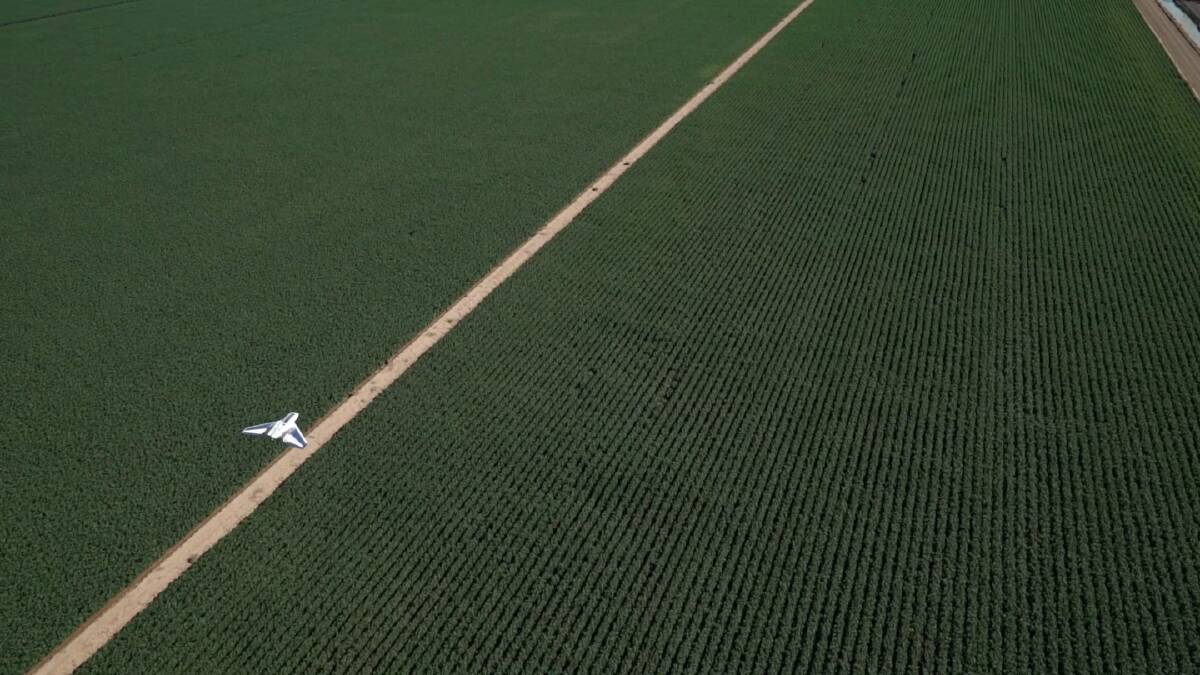 An Agronomeye drone hard at work over a cotton crop at Trangie, in NSW's Macquarie Valley.