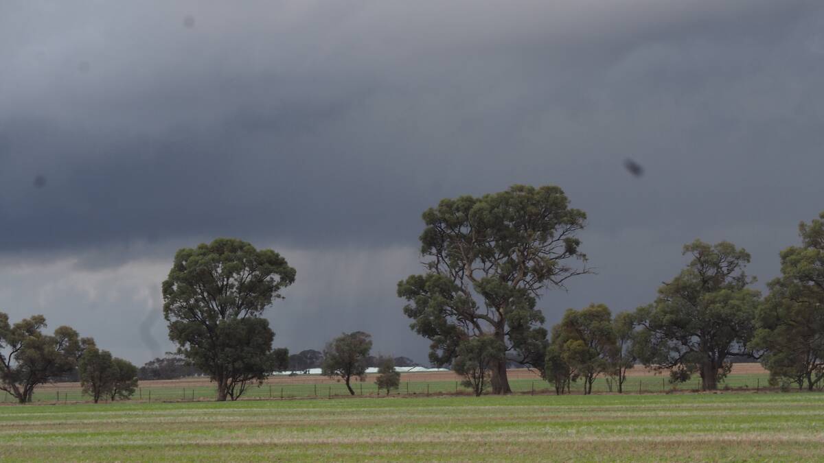 Frequent storm rain events have boosted crop yield prospects in the Mallee.