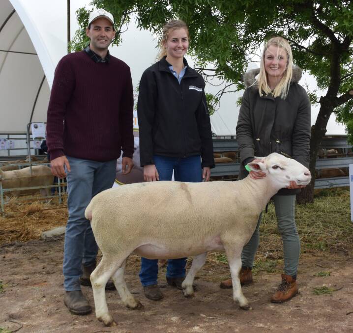 Lenny Polkinghorne, Jess Parry and Maja Polkinghorne with the top price White Suffolk ram at Monday's sale which Ms Parry bought for $1250.
