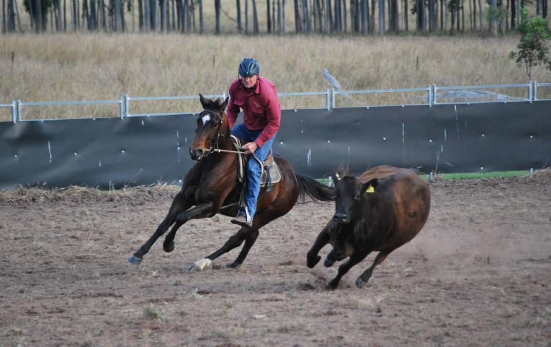 Warren Watts aboard Accidental Rey in the Griffo’s Xcavations Futurity Draft during the Blue Mountains Campdraft held at Strathdale in Sarina.