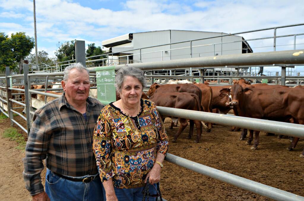 Clare-based cattle and cane producers Paul and Maria Frasson sold a pen of 13 heavy feeders steers for 330c weighing 391kg to return $1,291 per head.