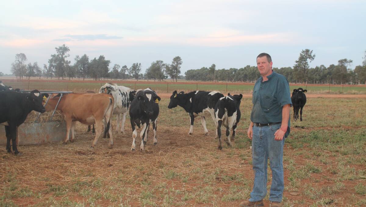 Finlay dairy farmer Malcolm Holm.