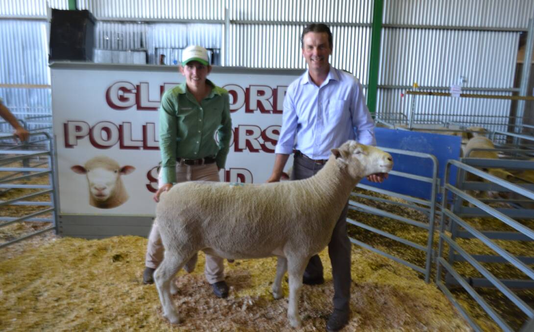 GOOD JOB: High lamb prices have boosted prices at this year's Glenore sale; Landmark Ballarat's Liz Dridan is with stud principal Peter Gill and the top priced ram.