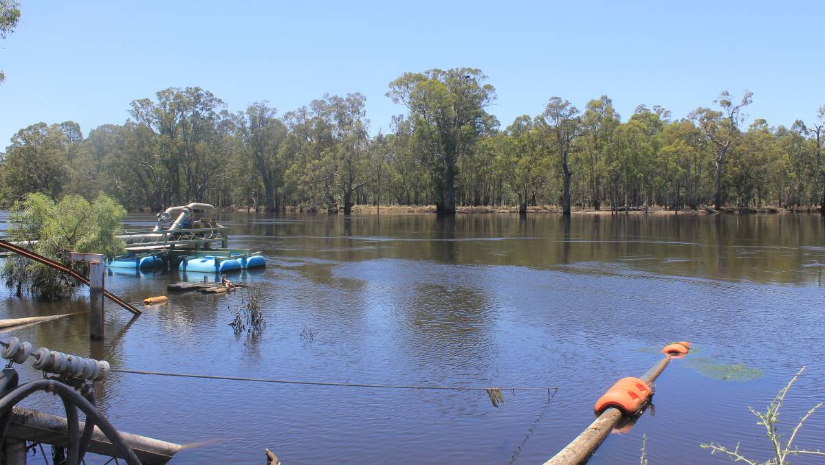 Irrigation pumps, on the Murray River, south of Mildura.
