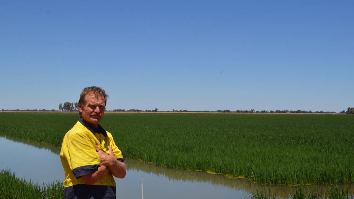 LETTER CAMPAIGN: Deniliquin farmer Tim Strong has backed a letter writing campaign, by the industry's peak body. 
