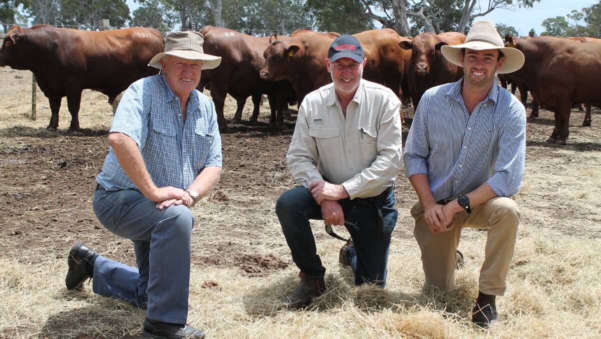First-time Beef Week participants Robert and Anthony Close, KURRA WIRRA were impressed with the concept and delighted with the number of guests they hosted during their day. Pictured were Robert Marshall, MORRL MORRL, Stanwell and Robert and Anthony Close inspecting Senegus bulls destined for their satellite sale at Barcaldine, Queensland on Friday, February 26.
