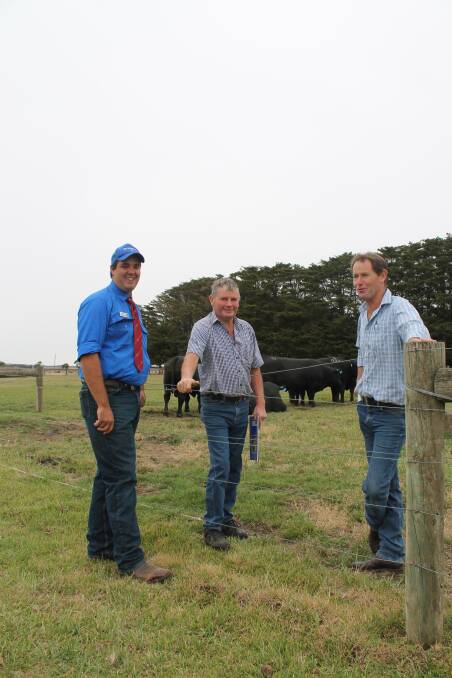 Gordon Branson, BANQUET happily shows Mick and David Page, Penshurst around the bulls. The Pages have been buying bulls from Banquet since 1995. Banquet had a good day with many new visitors mixed with clients. 