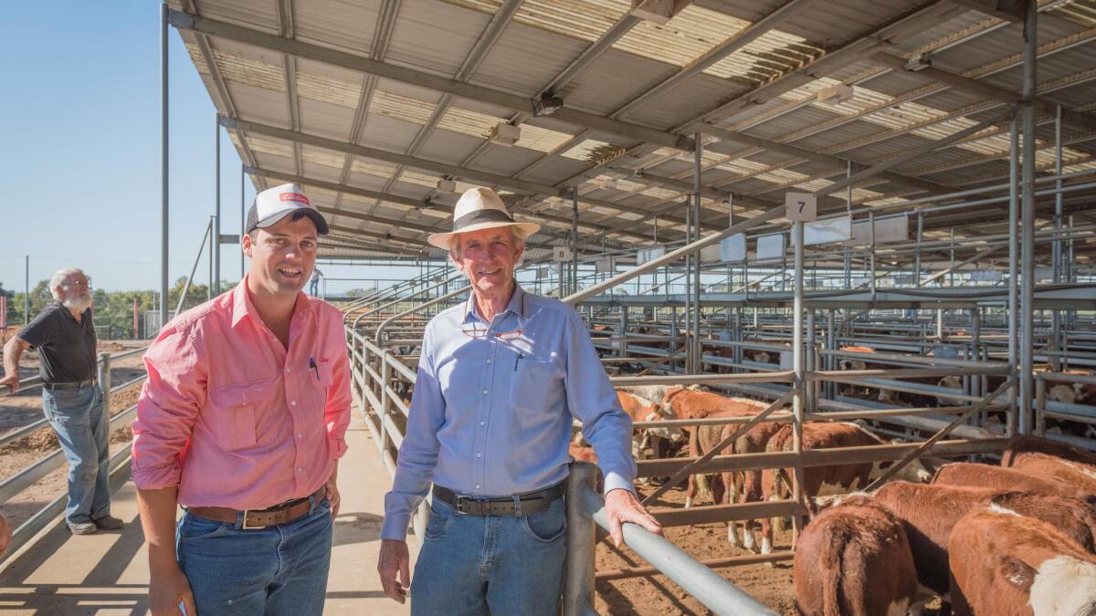 Bairnsdale store cattle sale, March 9