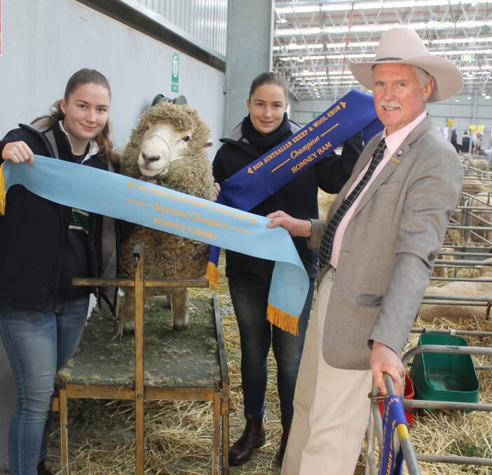 STREETS AHEAD: Romney ram Elmo, with twins Ashlea and Olivia Cross and Tintern farm manager Gavin Wall, has again been crowned a champion. 