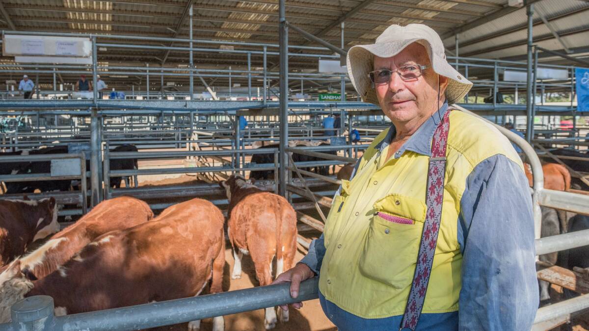 HAPPY SELLER: Johnno Wilkshire, Granny's Well, Bendoc, said he was happy with the $1090 he received for his Hereford steer, as the market was down. 