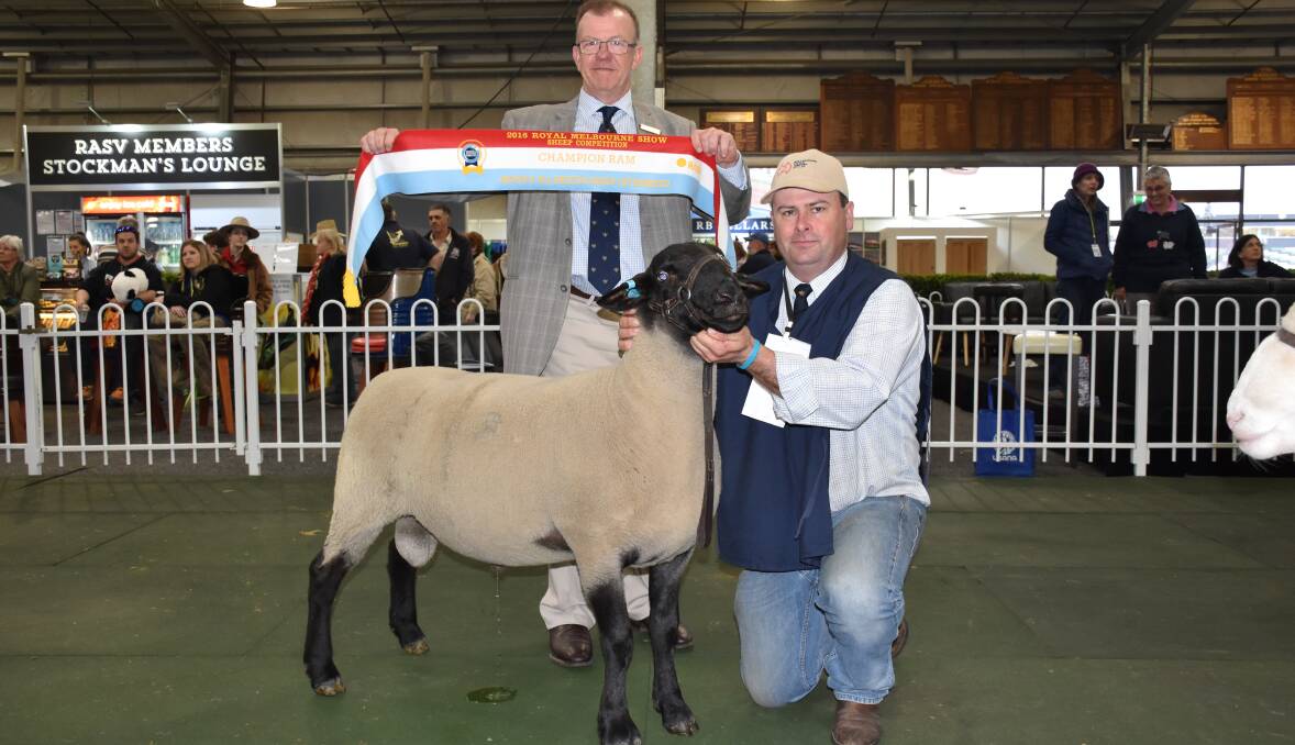TOP RAM: Royal Agricultural Show of Victoria chief executive officer Mark O'Sullivan, with the winning ram and Allendale's Alistair Day. Photos: Joely Mitchell