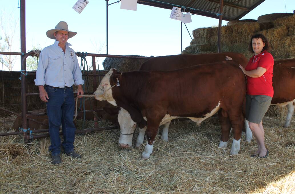 INVERLEIGH: Jill and Stu Cameron displayed  cows from imported Canadian embryos. 


