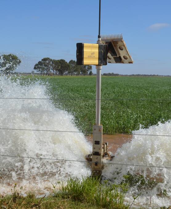 IRRIGATION FAIL: Water Minister Lisa Neville has told a parliamentary inquiry the Connections project was "set up to fail.