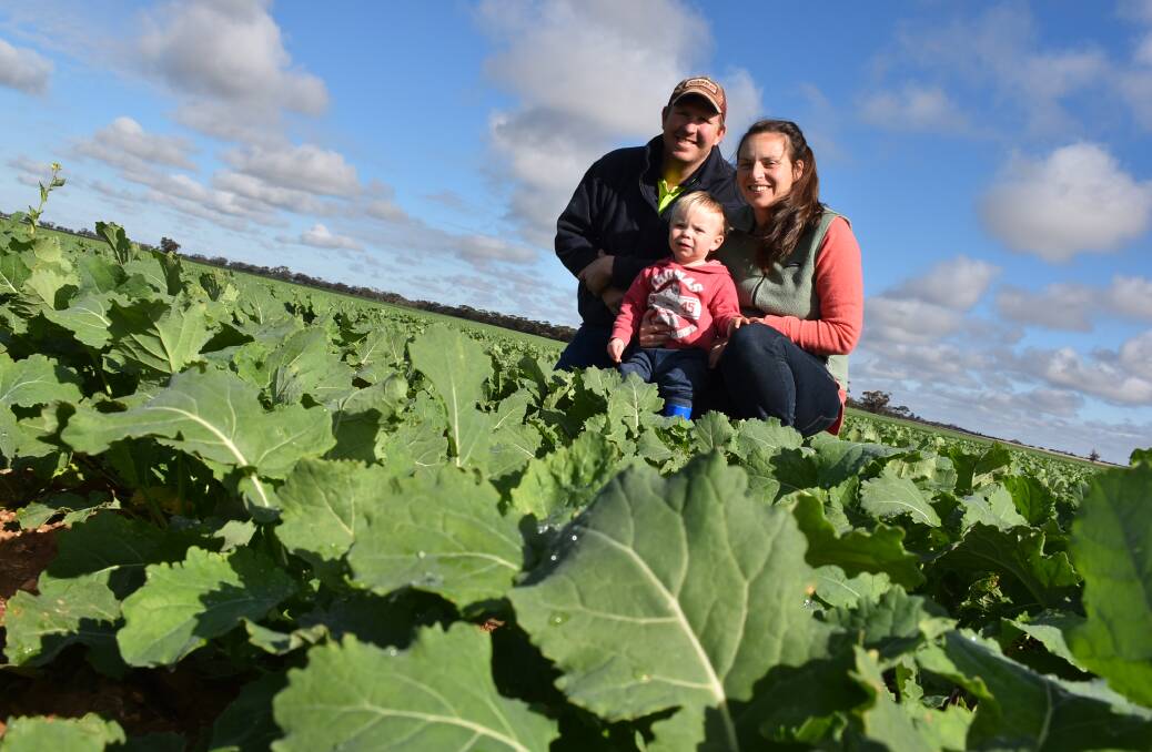GOOD SEASON: David and De-Anne Ferrier, with 21-month-old son Sam, in their canola paddock that was sown on April 20. PHOTO: Joely Mitchell.