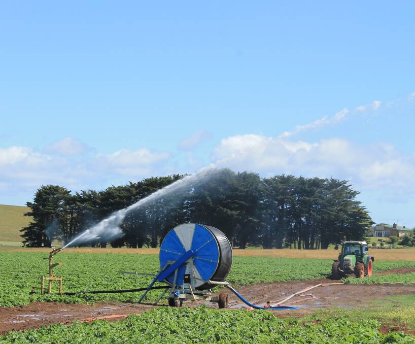 WATER WOES: A potato crop being watered, near South Riana. Tasmanian Farmers and Graziers Association chief executive Peter Skillern has called for a review of the state's water management policies. Photo: Andrew Miller.